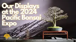 Our displays at the 2024 Pacific Bonsai Expo