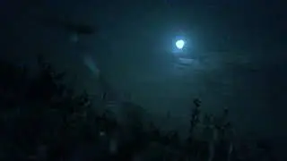 Morning to night time-lapse video.