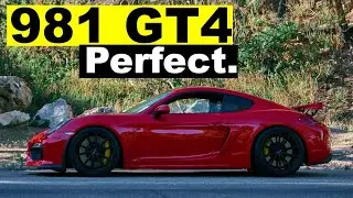 I Bought My DREAM Car! | Porsche 981 GT4 Initial Review