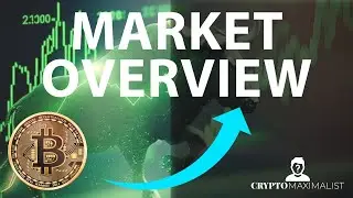 CRYPTO MARKET OVERVIEW TODAY... BITCOIN IS BORING... ARE YOU IN OR OUT?