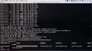 Docker Containers - Running Containers in Docker - Lesson 02