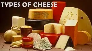 Type of Cheese | Type of cheese for kids and child