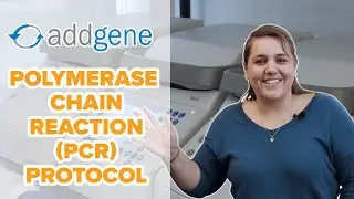 Polymerase Chain Reaction (PCR) Protocol