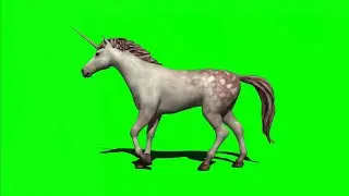 Green Screen Unicorn / Fantasy video effects