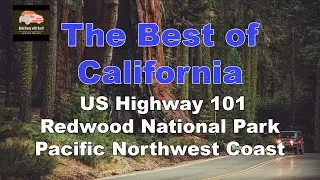 Escape to the Majestic Pacific Northwest Coast on Highway 101