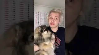 24 ЧАСА СОБАКА НА БАЛКОНЕ В ПОЛНОМ ОДИНОЧЕСТВЕ😱‼️ Inst:sever1off 