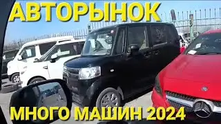 АВТОРЫНОК 2024, ЧАСТЬ 1, ВЛАДИВОСТОК ЗЕЛЁНЫЙ УГОЛ