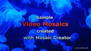 Video mosaic example