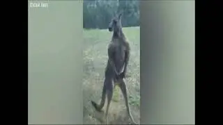 со мной воюет сатана