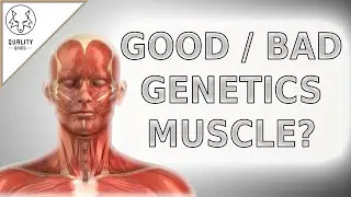 GENETICS AND BUILDING MUSCLE