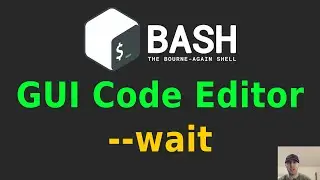 Wait for Input in a Graphical Code Editor in a Shell Script