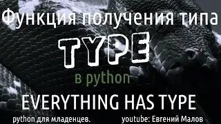 Функция type в python