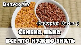 Семена льна - энергетическая ценность, польза и вред для человека, совместимость с сырыми продуктами