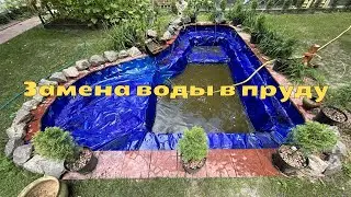 Чистим и меняем воду в садовом пруду