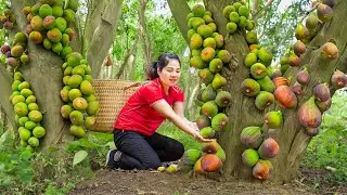 Harvesting Giant Forest Fig Go to Market Sell | 2 years living in the forest | An Phú Daily Life