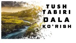 Tushda Dala korish Tabiri