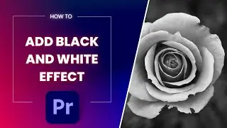 How to Add Black and White Effect in Premiere pro