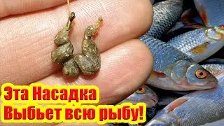 Эта Насадка Творит Чудеса! Тесто для Плотвы Насадка на Карася Леща Рыболовная насадка