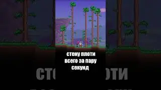 Как Спидраннер прошел Террарию за 1 минуту! | Terraria 1.4.4 