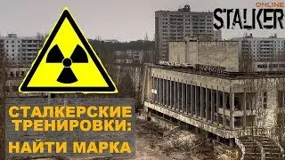 Квест: Сталкерские тренировки  -  (где) Найти Марка | Сталкер Онлайн