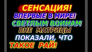 Сенсация, впервые в мире, светлым воинам показали вне матрицы, что такое рай