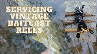 Servicing Vintage Baitcast Reels