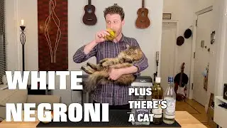 WHITE NEGRONI - plus cocktail history and a fluffy cat