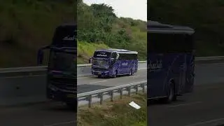 Bus Sahaalah Berkah Safar Di Jalan Tol Trans Jawa #busmania #busindonesia #bus #busholic