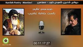 Diwani Mawlawi - Basit Hama Gharib - HD | دیوانی مەولەوی بە دەنگی باست حەمە غەریب