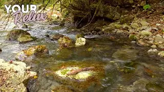Beautiful Calm Mountain River. 1 Hour of 4K Relaxing Video.