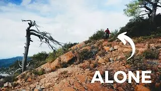 Solo MTB Ride on a Rainy Day | A Mountain Bike Meditation