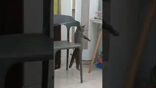 выпилился...