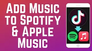 How to Add Music from TikTok to Spotify and Apple Music (New Feature)