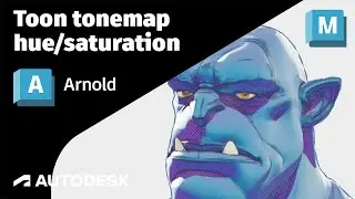 Arnold Tutorial - How to use the toon tonemap hue saturation