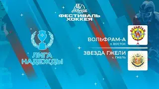 Вольфрам-А (п. Восток) — Звезда Гжели (с. Гжель) | Лига Надежды (16.05.2024)