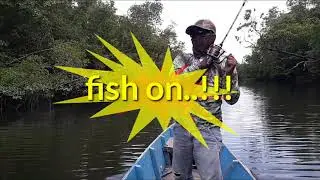 Slow Trolling,. Panen Ikan Kerapu dan MJ
