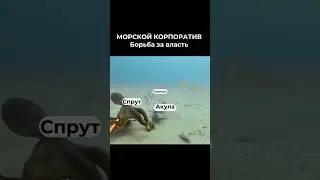 борьба за ВЛАСТЬ ☝🏻✅🙏🏻