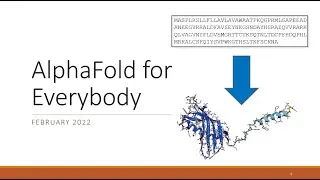 AlphaFold for Everybody