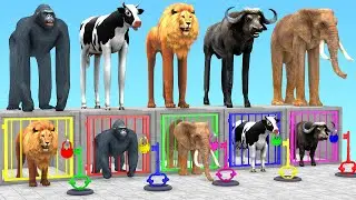 Long Legs Cow Mammoth Gorilla Tiger Lion Buffalo Mystery Key Escape Room Challenge Animals Cage Game