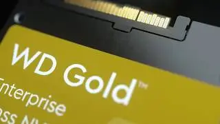 WD Gold™ NVMe™ SSD