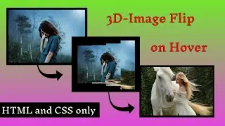 How to make 3D image flip on Hover with HTML and CSS | 3D image flip with CSS onl