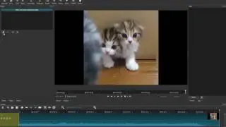 How to add fade in and fade out filter in ShotCut