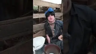 БАТЯ ПРОДАЕТ ПЕТУХА 