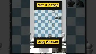 Telegram: Albinachess #шахматы #chess #chorts