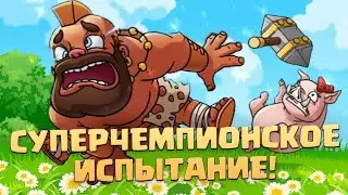 ☑️ Две Колоды Для Нового Суперчемпионского Испытания в Clash Royale