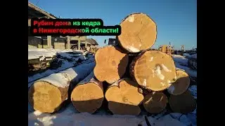 Дом из кедра. Ручная рубка под рубанок. Канадская чаша.