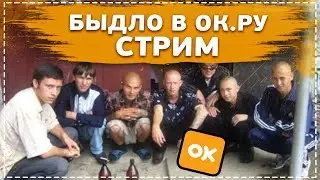 Стрим Рейсера - Рейдим Одноклассники // АУЕ, быдло и прочий сброд