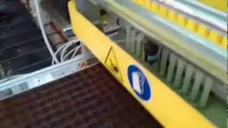 Cеялка для кассет SSM. Семена Виолы. Кассета 264