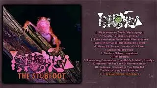 Phyllomedusa - The Stubfoot (Full Album) (2022 - Frognoise / Noisegrind / Ambient)