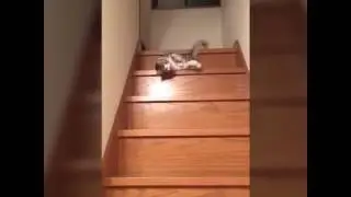 Работа